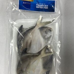 BANGLA GOLD FROZEN SEA WATER FISH(SILVER/WHITE POMPFRET) 500G