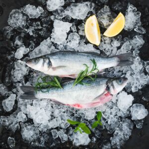 Fish