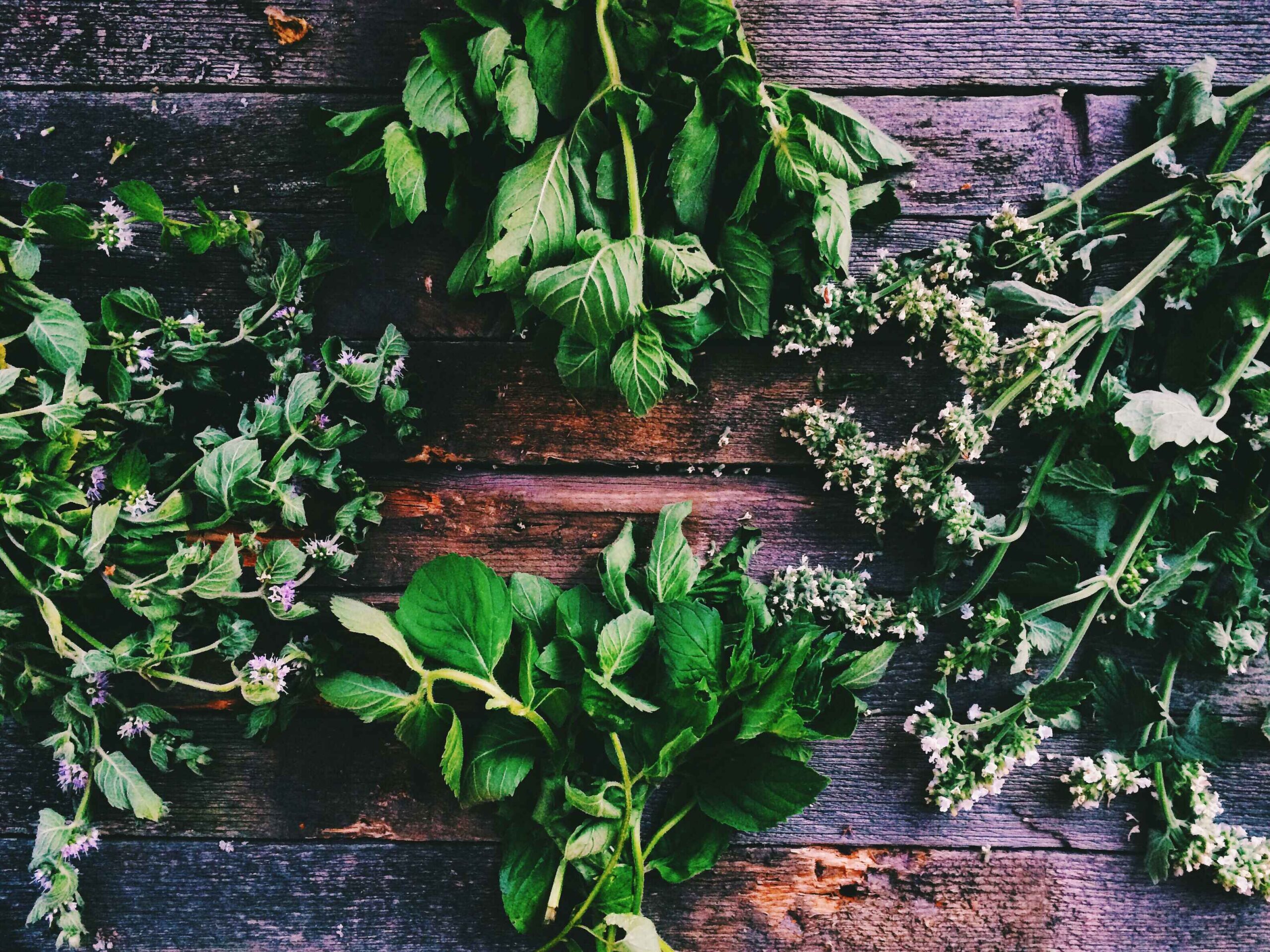 Herbs
