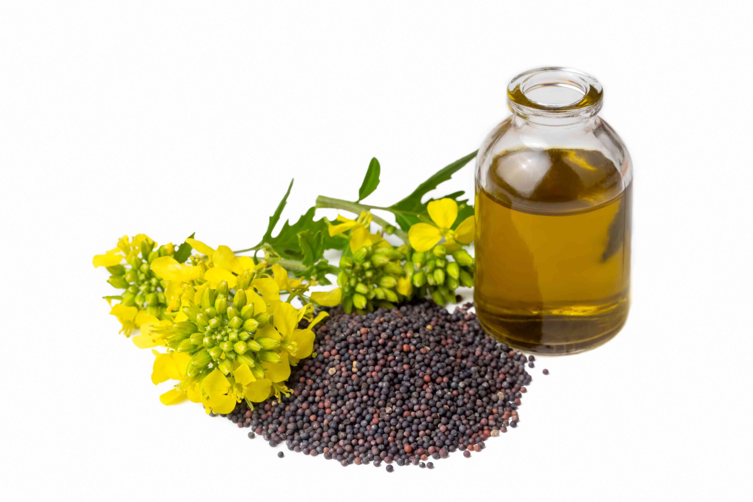 Mustard Oil