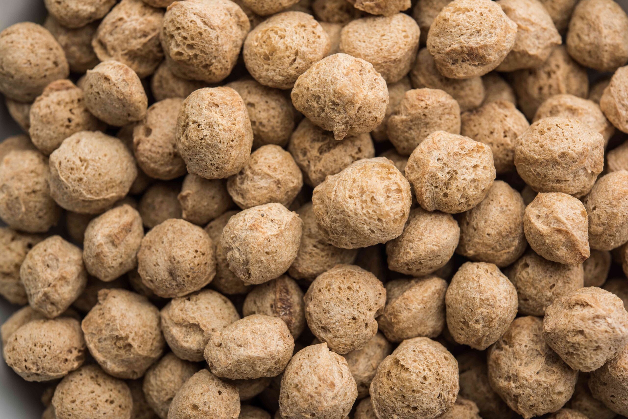 Soya Chunks