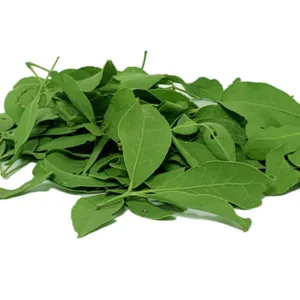 Bhel Patra 1 Pack